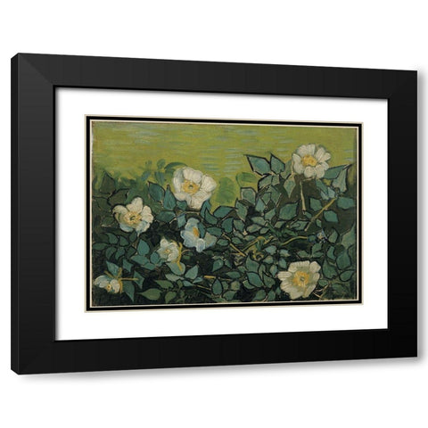 Wild roses Black Modern Wood Framed Art Print with Double Matting by van Gogh, Vincent