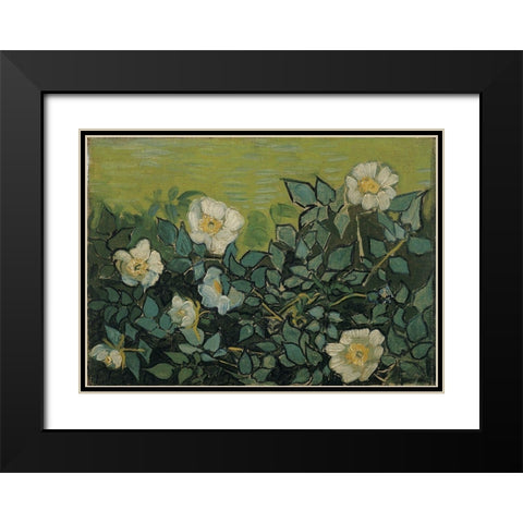 Wild roses Black Modern Wood Framed Art Print with Double Matting by van Gogh, Vincent