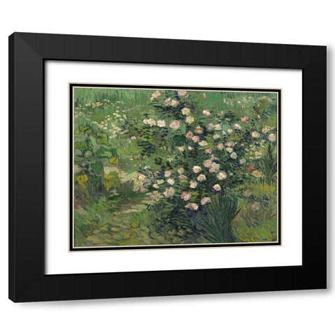 Roses Black Modern Wood Framed Art Print with Double Matting by van Gogh, Vincent