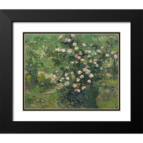 Roses Black Modern Wood Framed Art Print with Double Matting by van Gogh, Vincent
