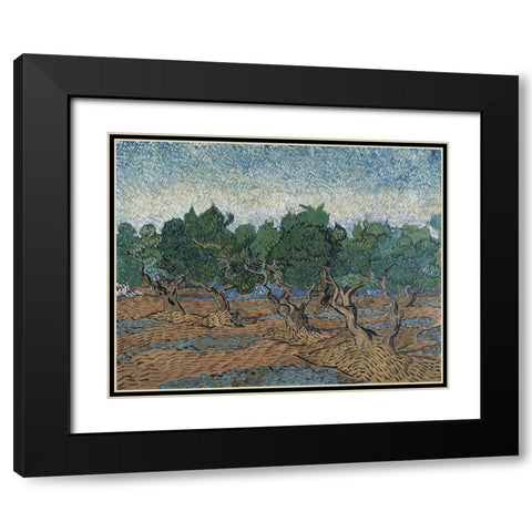 Olive grove Black Modern Wood Framed Art Print with Double Matting by van Gogh, Vincent