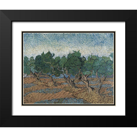 Olive grove Black Modern Wood Framed Art Print with Double Matting by van Gogh, Vincent