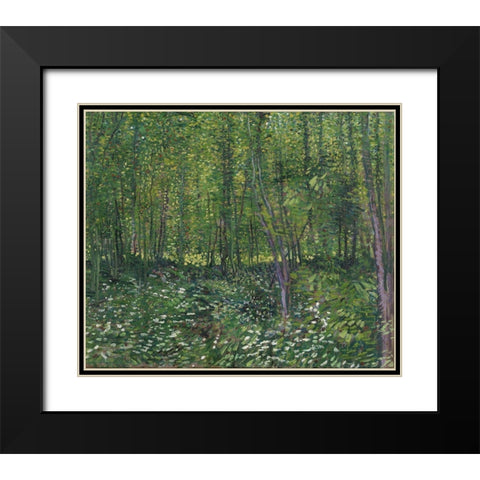 Trees and undergrowth Black Modern Wood Framed Art Print with Double Matting by van Gogh, Vincent
