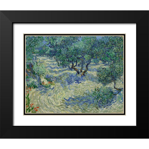 Olive Orchard Black Modern Wood Framed Art Print with Double Matting by van Gogh, Vincent