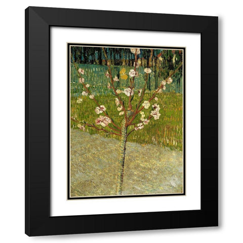 Almond tree in blossom Black Modern Wood Framed Art Print with Double Matting by van Gogh, Vincent