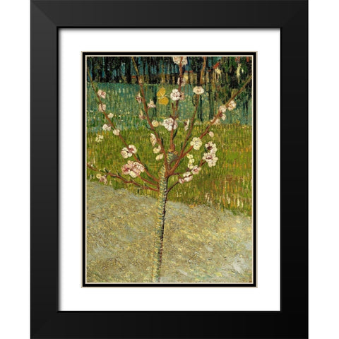 Almond tree in blossom Black Modern Wood Framed Art Print with Double Matting by van Gogh, Vincent