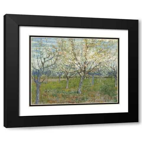 Orchard with Blooming Apricot Trees Black Modern Wood Framed Art Print with Double Matting by van Gogh, Vincent