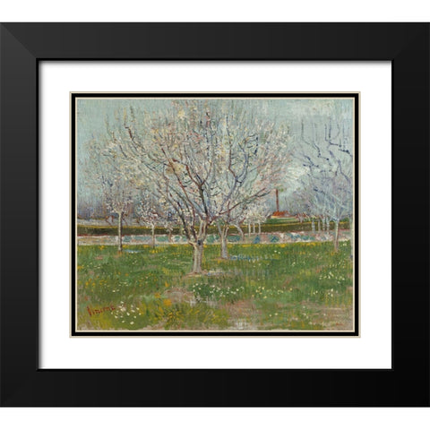 Orchard in Blossom Black Modern Wood Framed Art Print with Double Matting by van Gogh, Vincent