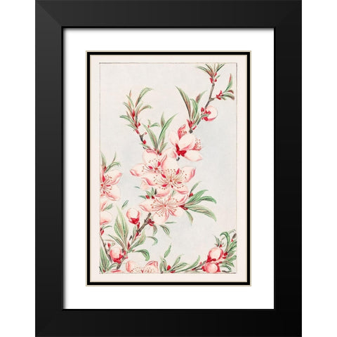 Peach tree branches with leaves and blossoms Black Modern Wood Framed Art Print with Double Matting by Morikaga, Megata