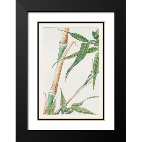 Japanese Bamboo Black Modern Wood Framed Art Print with Double Matting by Morikaga, Megata