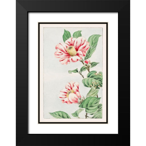 Tsubaki camelia Black Modern Wood Framed Art Print with Double Matting by Morikaga, Megata