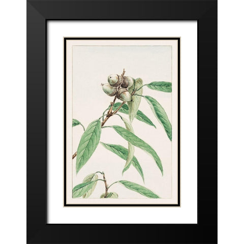 Kashi Black Modern Wood Framed Art Print with Double Matting by Morikaga, Megata