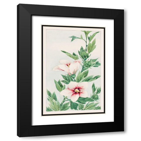 Hibiscus plant Black Modern Wood Framed Art Print with Double Matting by Morikaga, Megata
