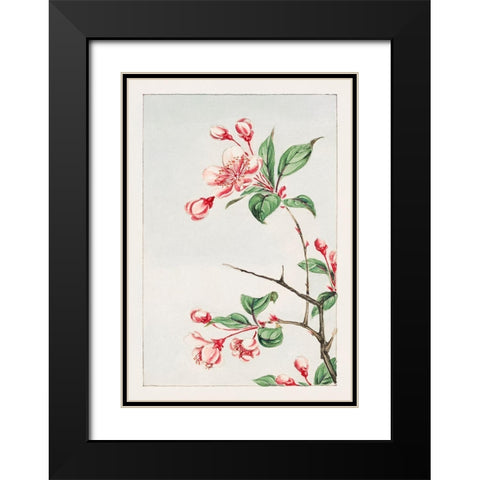 Kaido pyrus spectabalis Black Modern Wood Framed Art Print with Double Matting by Morikaga, Megata