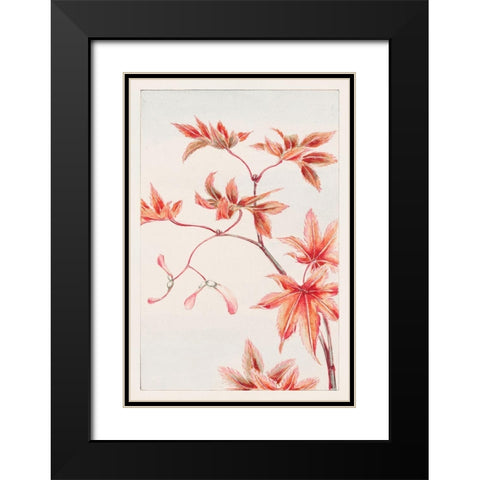 Branch of Momiji maple tree with leaves and seeds Black Modern Wood Framed Art Print with Double Matting by Morikaga, Megata