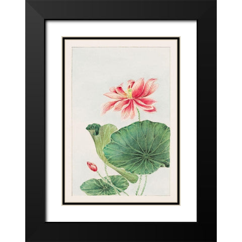 Hasu or lotus Black Modern Wood Framed Art Print with Double Matting by Morikaga, Megata