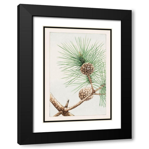Matsu pine Black Modern Wood Framed Art Print with Double Matting by Morikaga, Megata