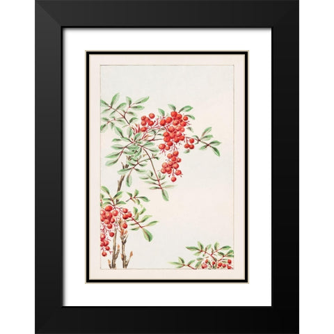 Nandina bush with berries Black Modern Wood Framed Art Print with Double Matting by Morikaga, Megata
