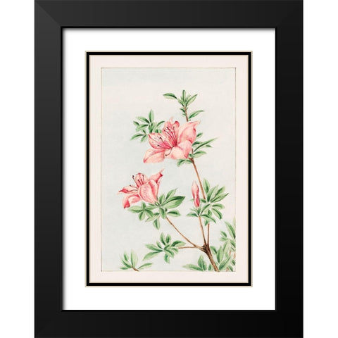 Tsutsuji rhododendron Judicum or azalea Black Modern Wood Framed Art Print with Double Matting by Morikaga, Megata