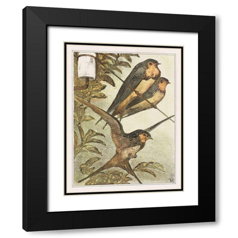 Three swallows Black Modern Wood Framed Art Print with Double Matting by Hoytema, Theo van