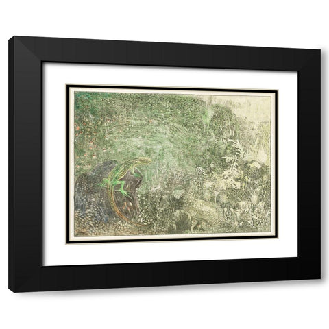 Lizard on a stone Black Modern Wood Framed Art Print with Double Matting by Hoytema, Theo van