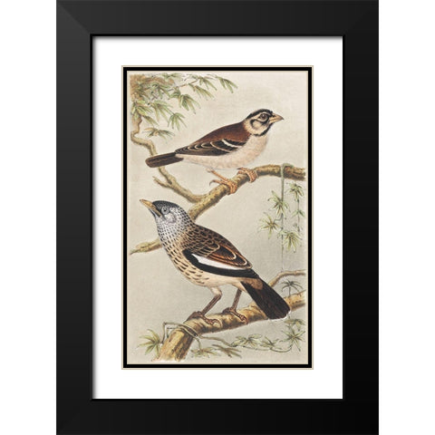 Two birds on branches Black Modern Wood Framed Art Print with Double Matting by Hoytema, Theo van