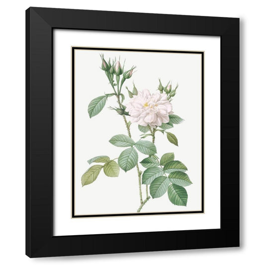 Perspective Image