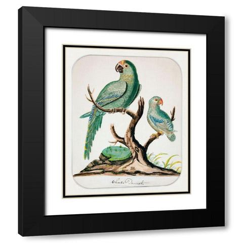 Two Parrots on a Barren Tree Black Modern Wood Framed Art Print with Double Matting by Demuth, Charles