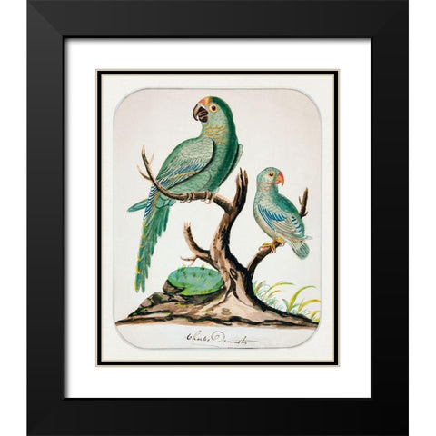 Two Parrots on a Barren Tree Black Modern Wood Framed Art Print with Double Matting by Demuth, Charles