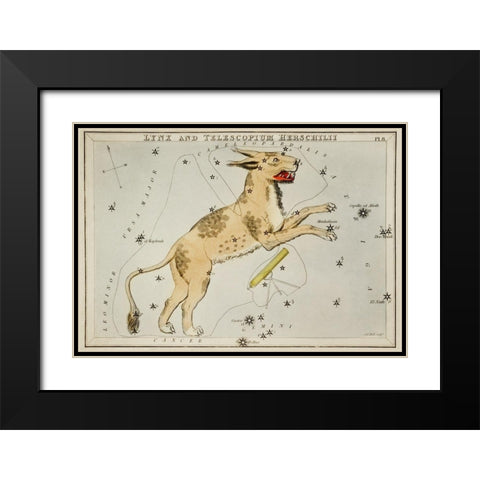Astronomical chart illustration of Lynx and the Telescopium Herschilii Black Modern Wood Framed Art Print with Double Matting by Hall, Sidney