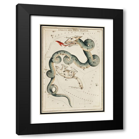 Astronomical chart illustration of the Draco and the Ursa Minor Black Modern Wood Framed Art Print with Double Matting by Hall, Sidney