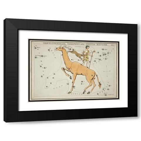 Astronomical chart illustration of the Camelopardalis-Tarandus and the Custos Messium Black Modern Wood Framed Art Print with Double Matting by Hall, Sidney