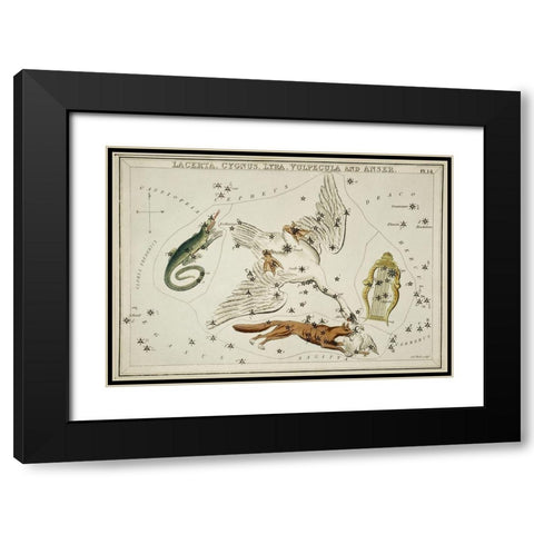 Astronomical chart illustration of the Lacerta-Cygnus-Lyra-Vulpecula and the Anser Black Modern Wood Framed Art Print with Double Matting by Hall, Sidney