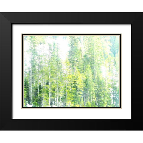 Growth Black Modern Wood Framed Art Print with Double Matting by Ghanooni, Sarah