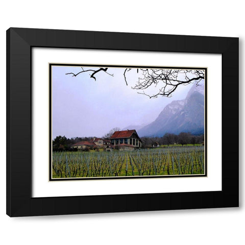 Inside the Vines Black Modern Wood Framed Art Print with Double Matting by Ghanooni, Sarah