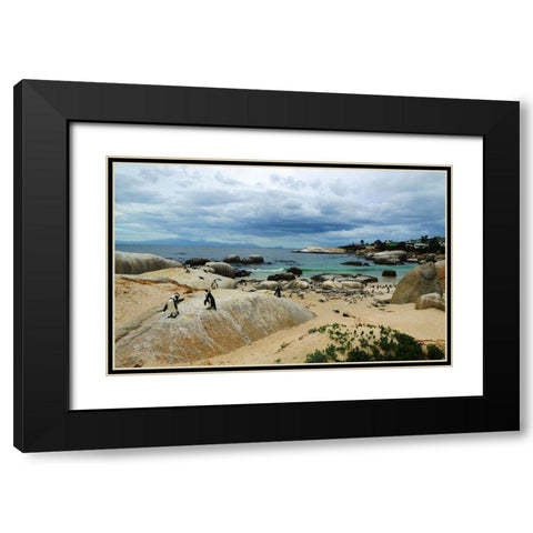 Penguin Land Black Modern Wood Framed Art Print with Double Matting by Ghanooni, Sarah