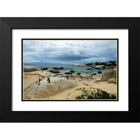 Penguin Land Black Modern Wood Framed Art Print with Double Matting by Ghanooni, Sarah