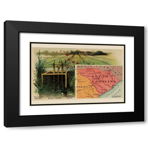 South Carolina Black Modern Wood Framed Art Print with Double Matting by Arbuckle Brothers