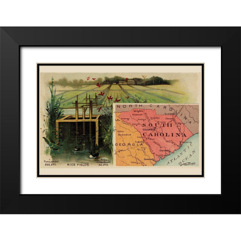 South Carolina Black Modern Wood Framed Art Print with Double Matting by Arbuckle Brothers