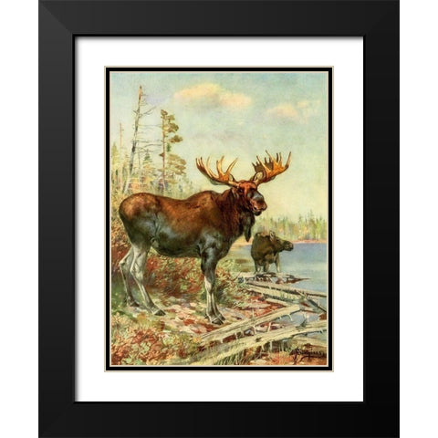 Moose Black Modern Wood Framed Art Print with Double Matting by Rungius, Carl