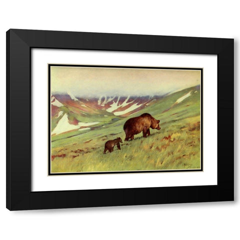 Bears walking in Basin Black Modern Wood Framed Art Print with Double Matting by Rungius, Carl