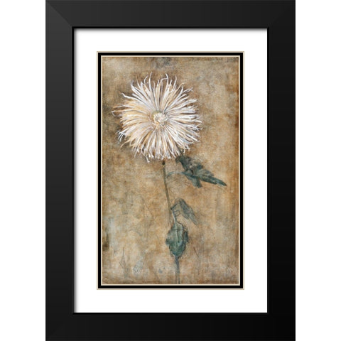 Chrysanthemum Black Modern Wood Framed Art Print with Double Matting by Mondrian, Piet