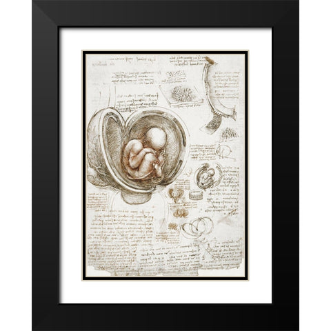 Studies of the Foetus in the Womb Black Modern Wood Framed Art Print with Double Matting by da Vinci, Leonardo