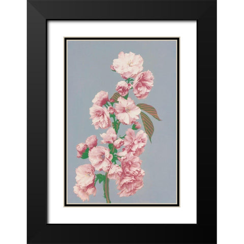 Cherry Blossom Black Modern Wood Framed Art Print with Double Matting by Kazumasa, Ogawa