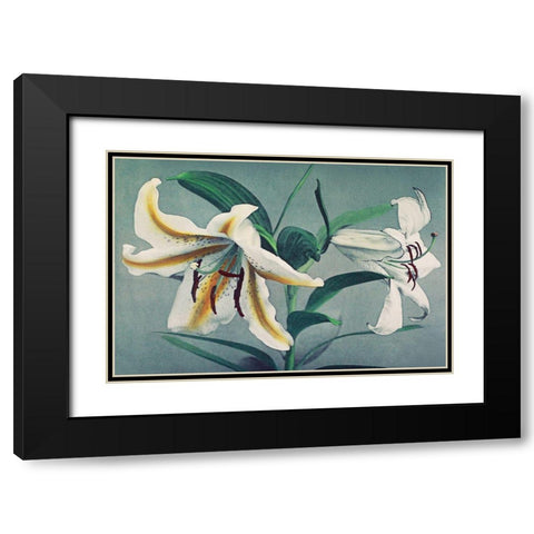 Lily V Black Modern Wood Framed Art Print with Double Matting by Kazumasa, Ogawa