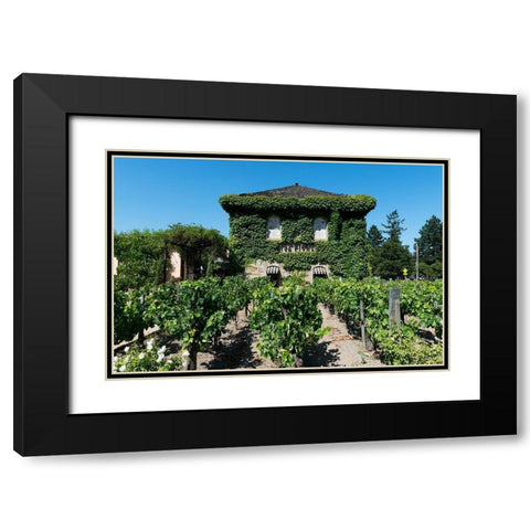 California Vineyards Black Modern Wood Framed Art Print with Double Matting by Highsmith, Carol