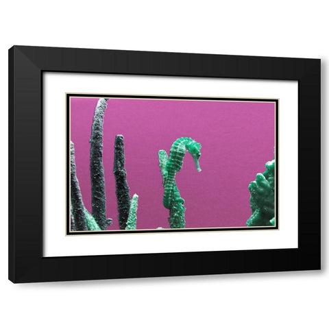 Seahorse at The Monterey Bay Aquarium in Monterey-California Black Modern Wood Framed Art Print with Double Matting by Highsmith, Carol