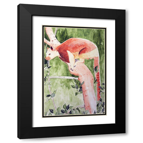 Grizzled Tree Kangaroo Black Modern Wood Framed Art Print with Double Matting by Derr, Wynn