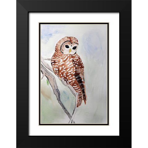 Northern Spotted Owl Black Modern Wood Framed Art Print with Double Matting by Derr, Wynn