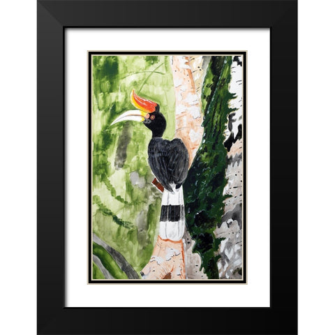Rhinoceros Hornbill Black Modern Wood Framed Art Print with Double Matting by Derr, Wynn
